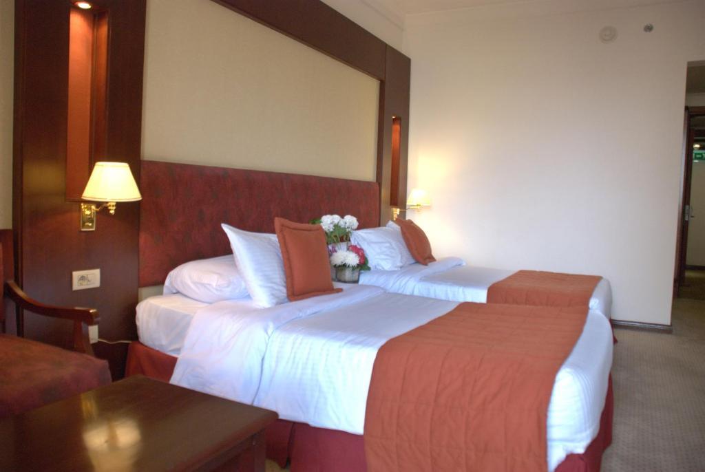 Safir Hotel Cairo Giza Bagian luar foto A bedroom at the hotel